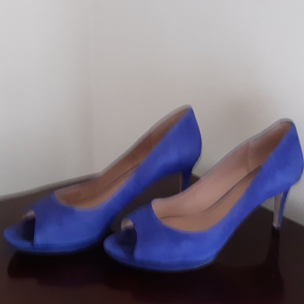 Shoes - Enzo Anciolini Royal Blue